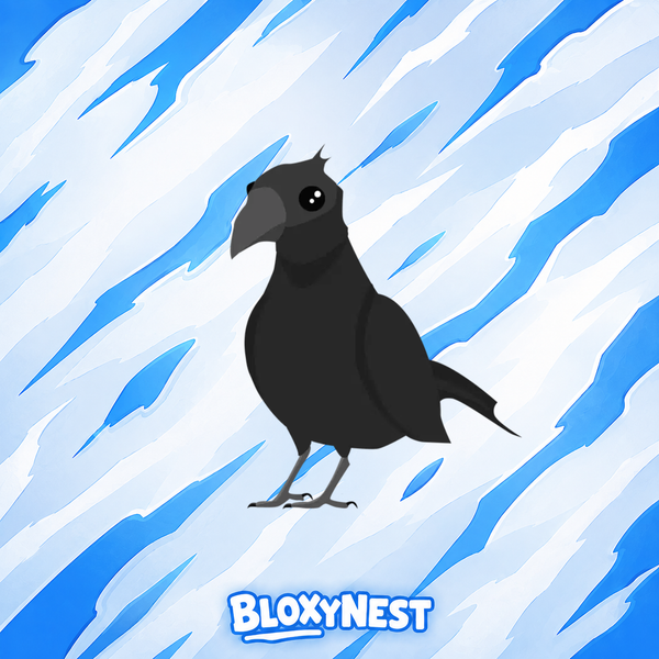 NFR Crow