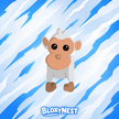 NFR Albino Monkey