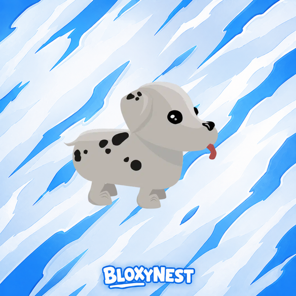 Dalmation
